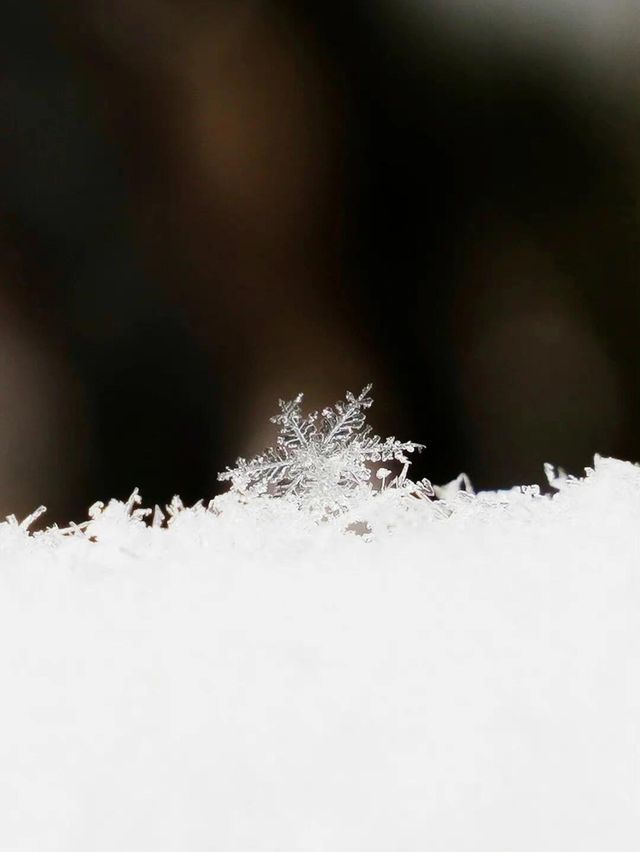 長沙冬日雪韻：明月山滑雪與溫泉之旅