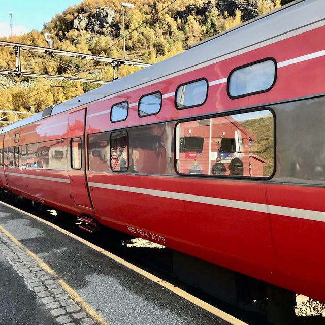 Myrdal Train Station - Myrdal, Norway