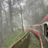 Stunning Alishan✨