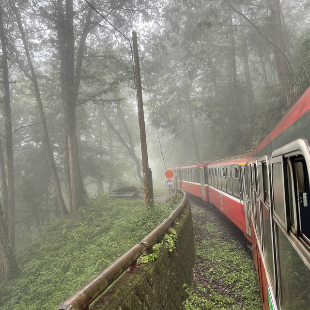 Stunning Alishan✨