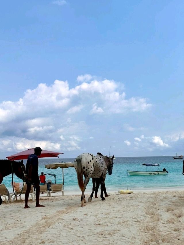 **🏝️ Zuri Zanzibar: A Luxury Island Escape 🌅**