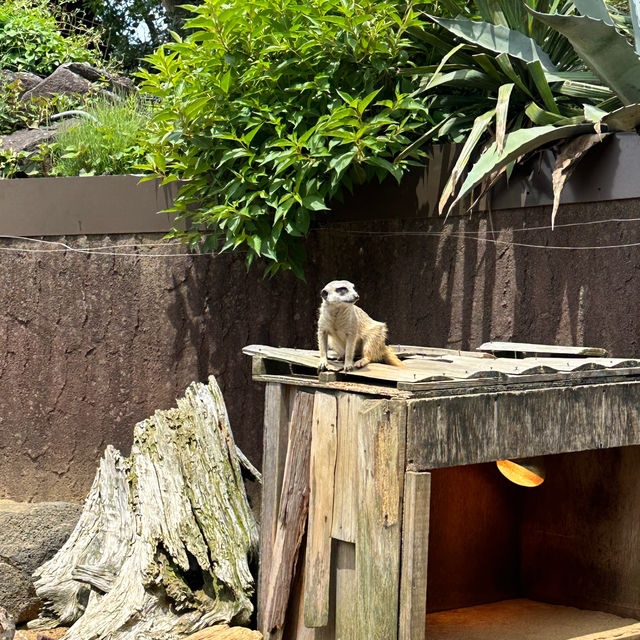 全自助式的動物園