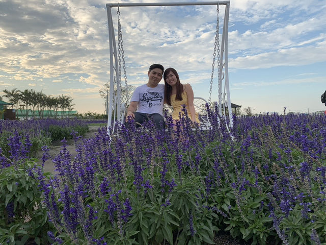 Pretty Flower field 🌷🪻at Taichung