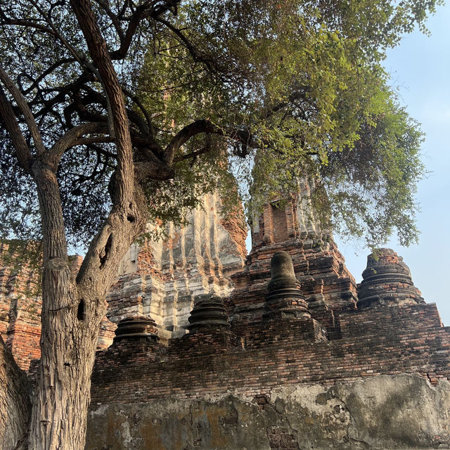 วัดมหาธาตุ อุทยานประวัติศาสตร์พระนครศรีอยุธยา 