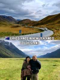 🇳🇿 Grasslands in New Zealand's South Island