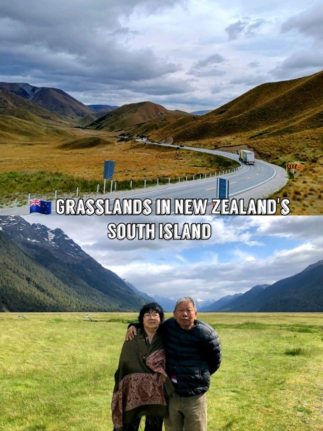 🇳🇿 Grasslands in New Zealand's South Island