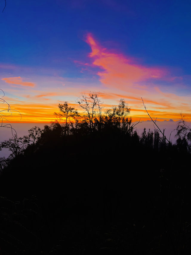 A Beautiful View From Mt. Lawu ⛰️