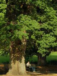 Fitzroy Garden