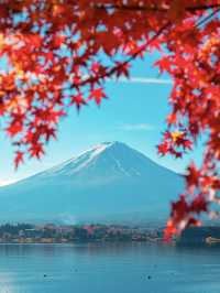 【山梨】富士山と紅葉を楽しもう！秋の河口湖🗻🍁