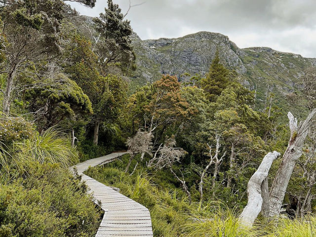 Cradle Mountain National Park: A Wilderness Adventure