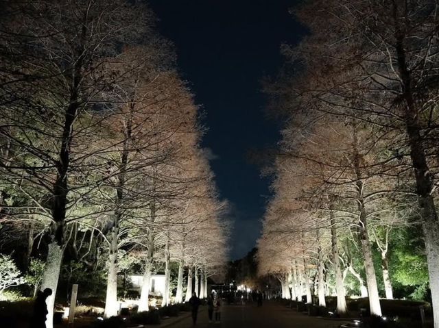 夢幻花園中的數位奇觀