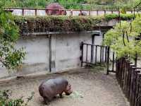  台北市立動物園：台灣最大且最具教育意義的生態樂園