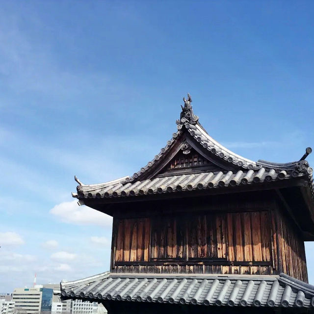 《探索福岡的綠洲——舞鶴公園之旅》