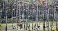 Birds telling your fortune in Singapore - Kebun Baru Birdsinging Club