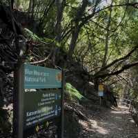 Lost in Nature’s Glory - Exploring the Majestic Blue Mountains National Park!