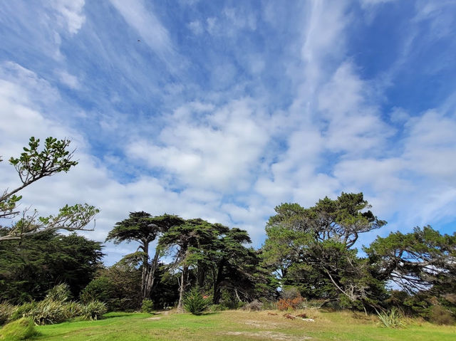 Puponga hilltop walk - Farewell Spit & Puponga Farm Park