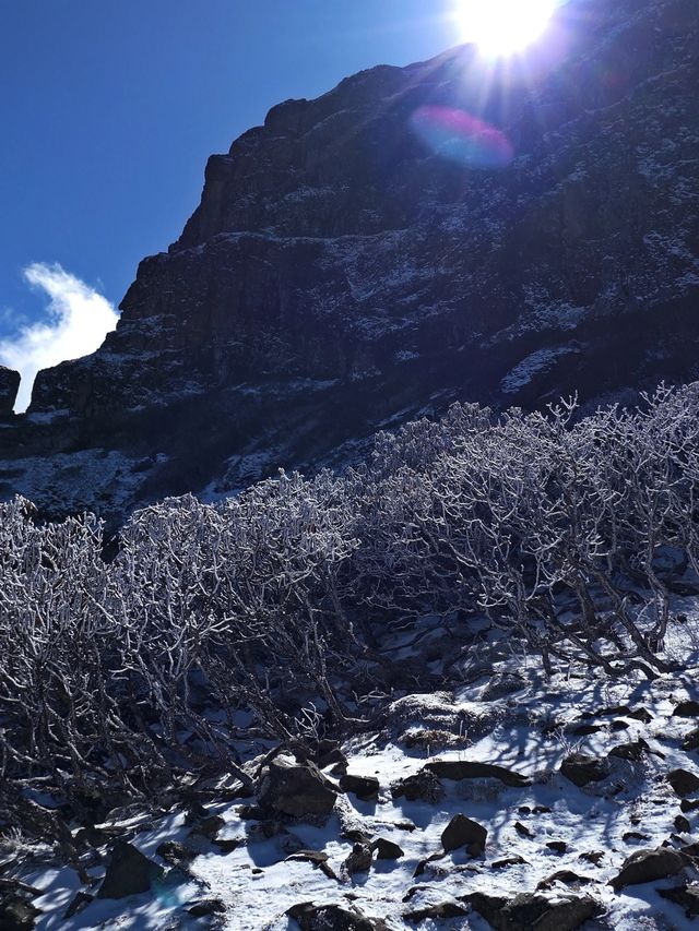 轎子雪山丨昆明人的冰雪小世界