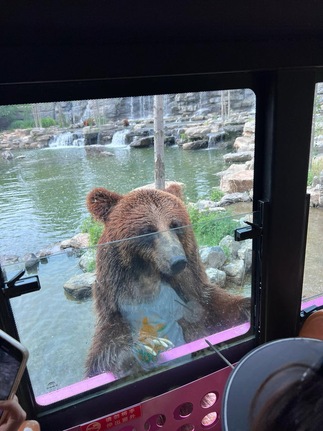 北京動物園