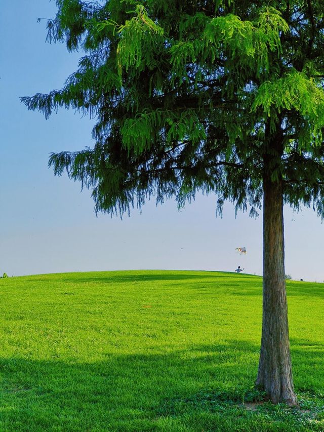 亞洲最大公園，皆為震撼