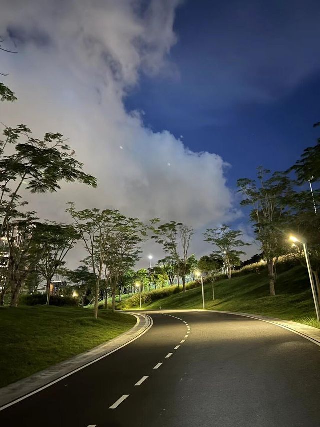 深圳公園｜城市裡的綠野仙蹤