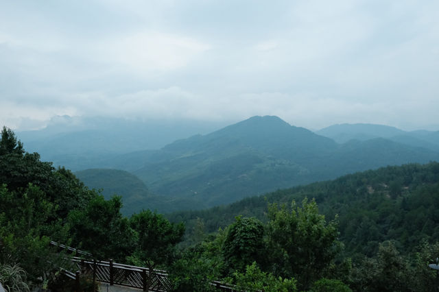 匠廬重慶｜在山野裡大口吸氧