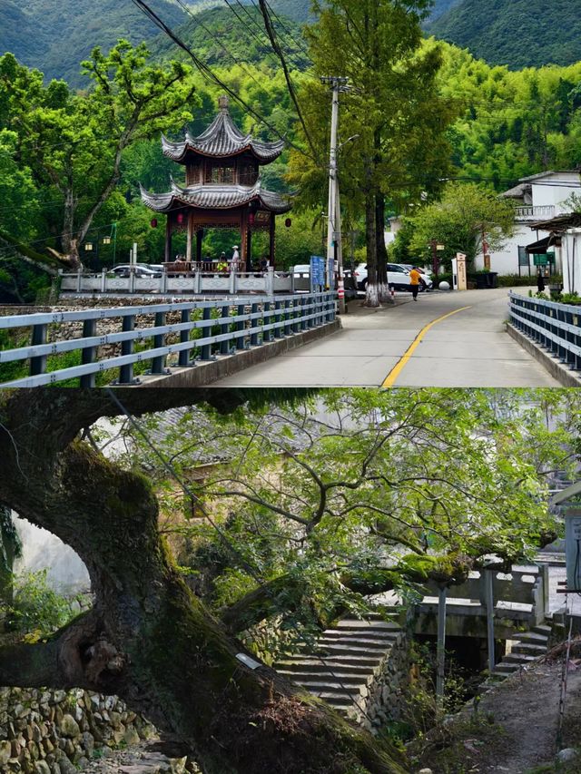 一個被低估了的寶藏旅遊地——龍宮村。