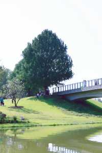 辰山植物園 賞個五彩斑斕的秋。