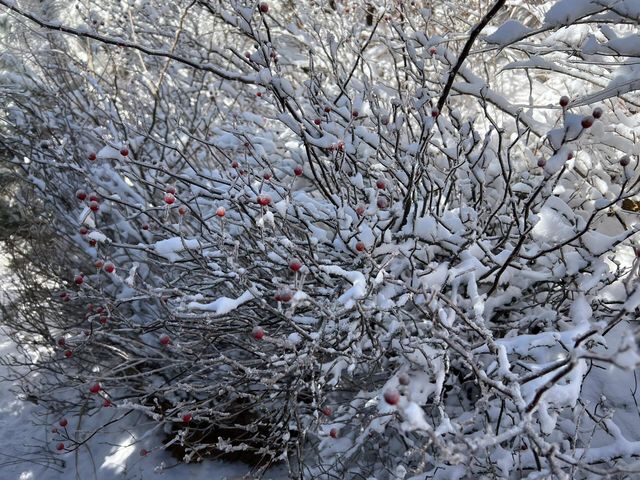 秦嶺藍關古道|周末賞雪好去處。