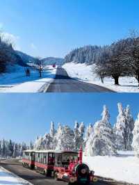 12月10日 重慶仙女山下雪啦！（攻略版）