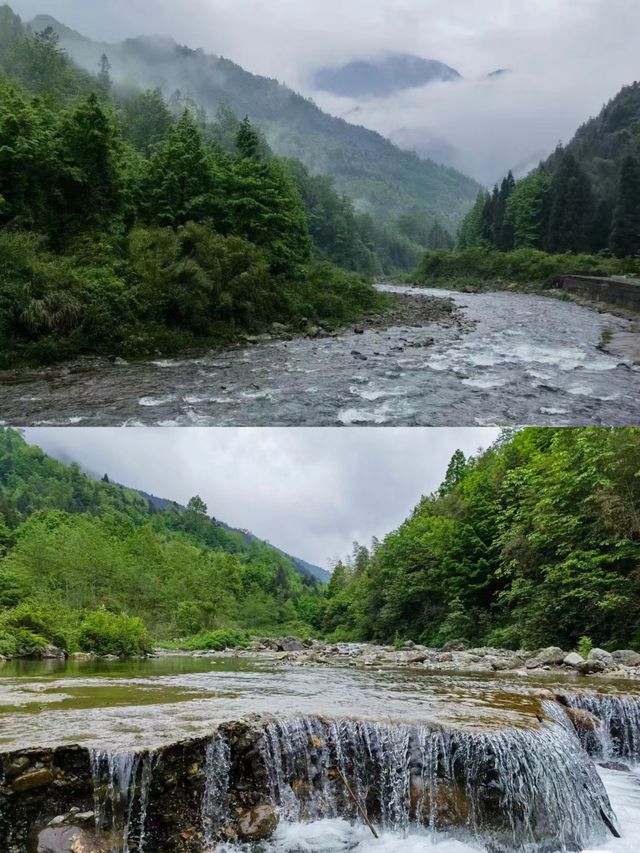 一步一景，瀘州的綠色寶藏不容錯過