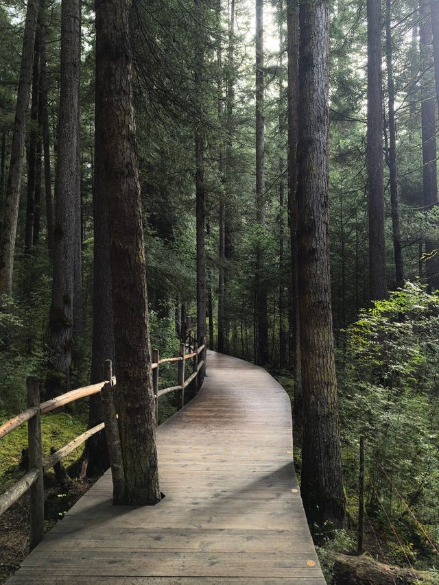 跨年要去九寨溝-黃龍風景名勝區驚艷你的冬日旅程