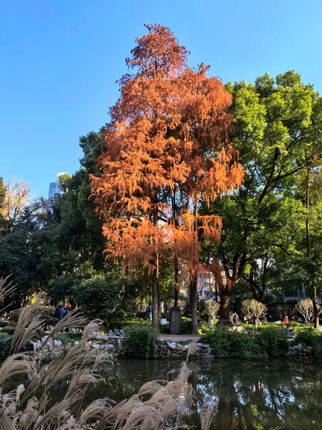 光啟公園，中國近代科學之源