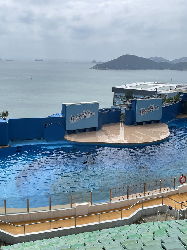 Explore the Magic of Hong Kong Ocean Park with This Comprehensive Guide!