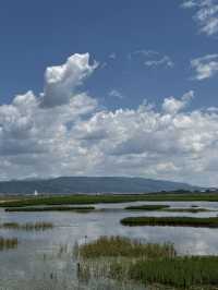 6天暢遊雲南香格里拉-西雙版納 超詳細攻略來襲