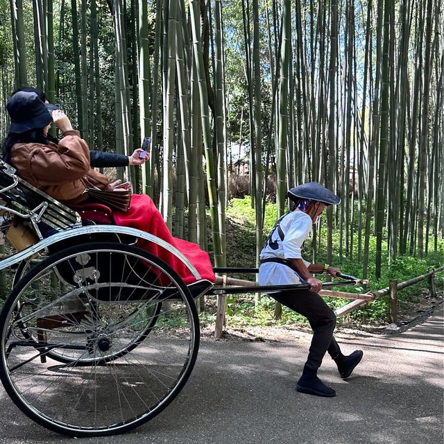 《日本京都嵐山》