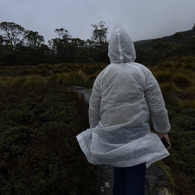  Cradle Mountain