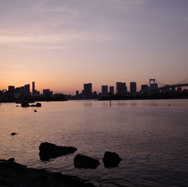 Exploring the Vibrancy of Tokyo