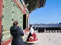 The iconic Gyeongbokgung Palace 🇰🇷