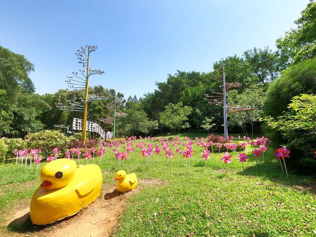 Little Ding-Dong Science Theme Park