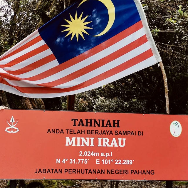 "Discovering the Mystical Mossy Forest: Cameron Highlands, Pahang"