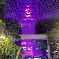 World's tallest indoor waterfall in Jewel Changi 🇸🇬