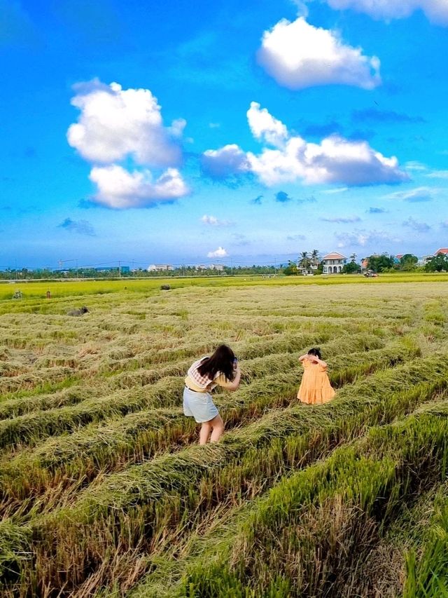 MUST VISIT CAFE AMIDST PADDY FIELD IN HOI AN