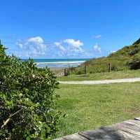 Muriwai Beach