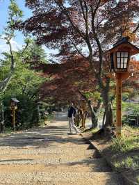 ชมวิวฟูเขาไฟฟูจิที่เจดีย์ซูเรโตะ