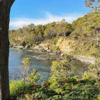 Bruny Island: Tasmania’s Coastal Paradise