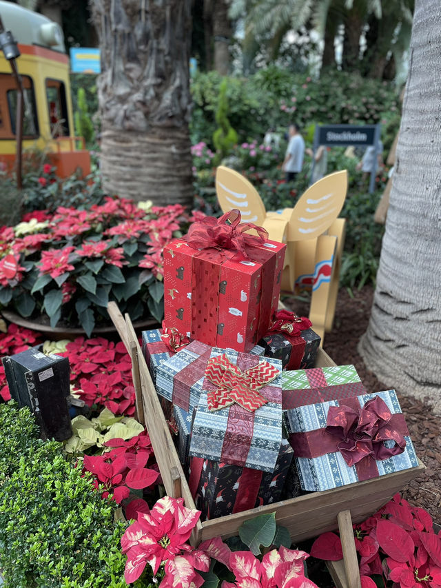 🇸🇬All Christmasy in Flower Dome 🍭 