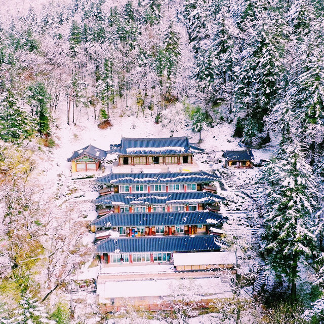 The Buddhist Temple