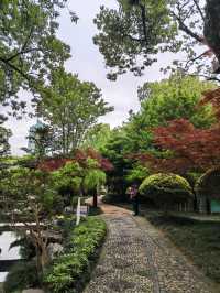 被譽為寧波“小西湖”的月湖公園