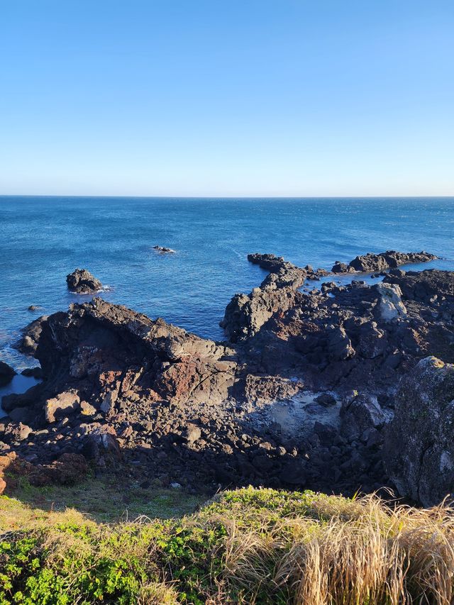 11月的濟州島 沒想到那麼美。