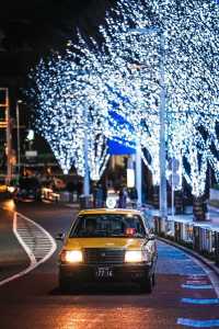 Experience the Magic of Tokyo's Christmas Lights Next Month